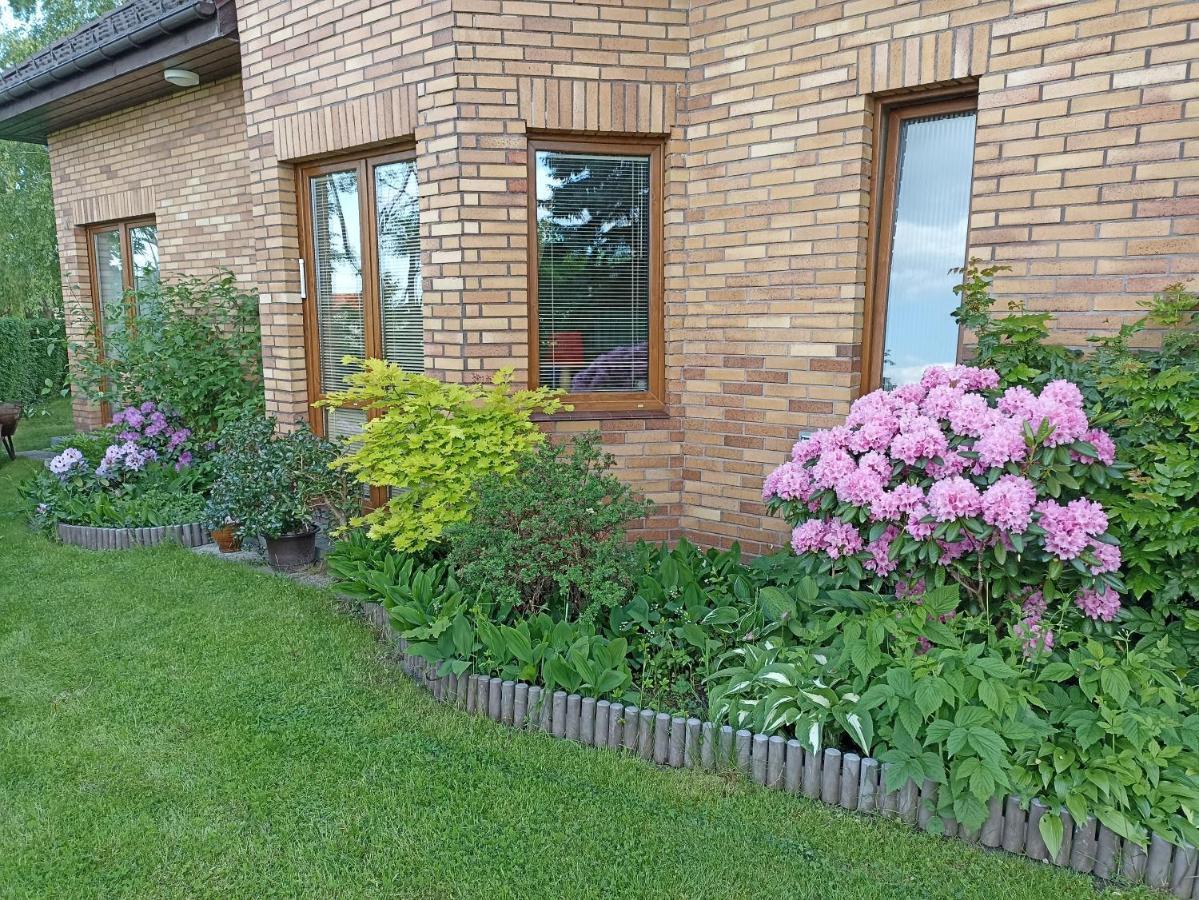 Dom Turysty Na Skarpie Apartment Malbork Bagian luar foto